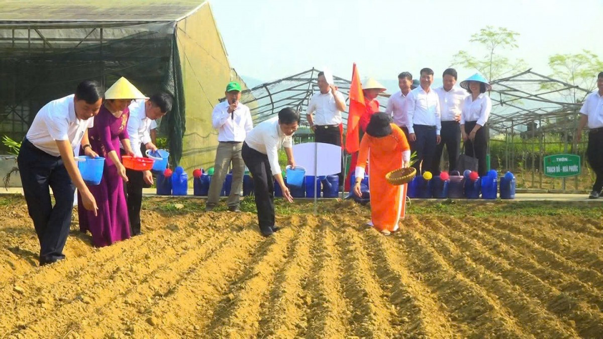 Lễ hội rau xã Hòa Vang: Đánh thức tiềm năng nông nghiệp số