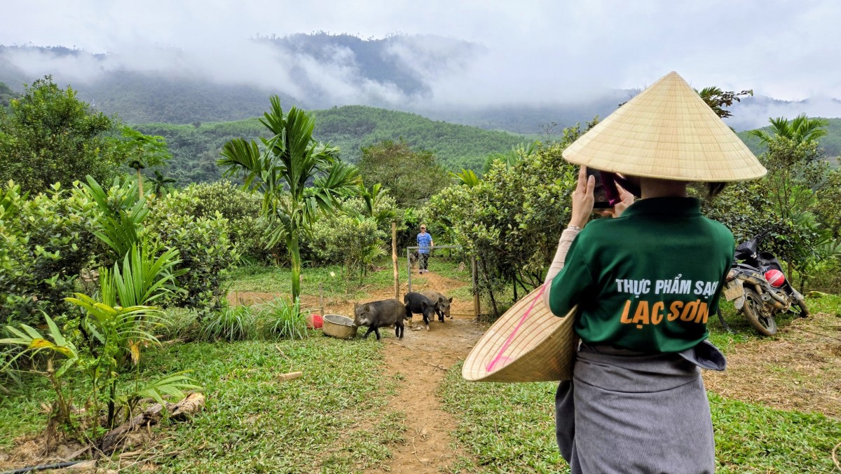 Công nghệ truy xuất nguồn gốc: “Tấm hộ chiếu” minh bạch cho nông sản du lịch