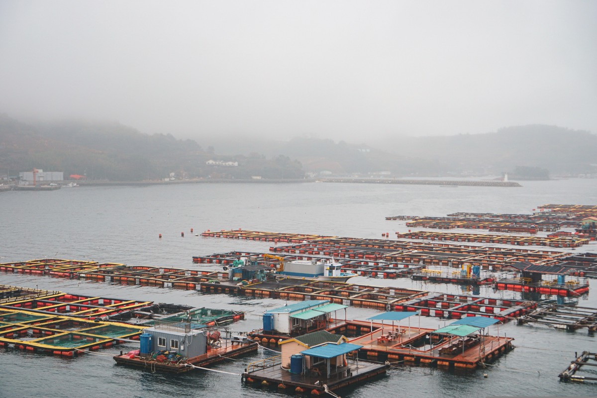 Hải sản Quảng Ninh trong chuỗi cung ứng thực phẩm sạch