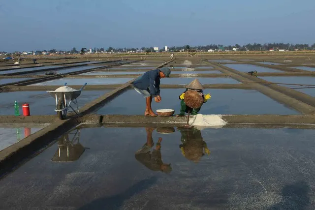 Những chuyển động quen thuộc nơi đồng muối