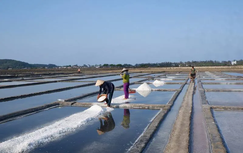 Lao động cần mẫn trên cánh đồng muối giữa nắng gió