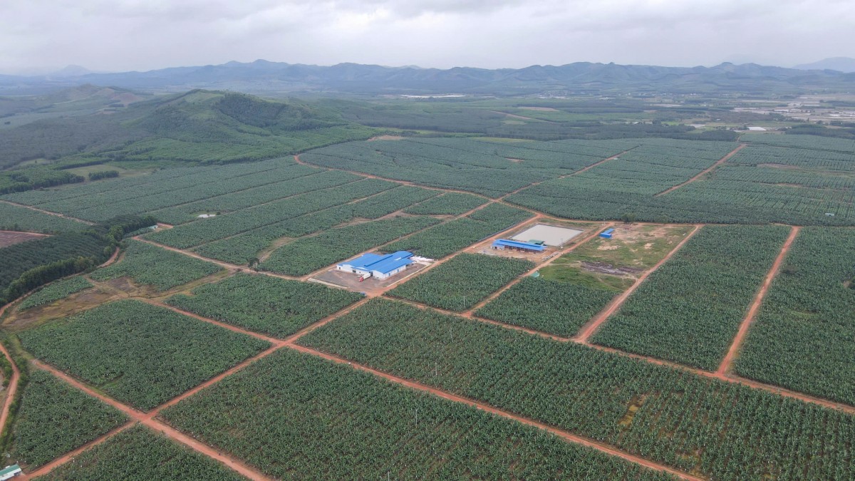 KD Green Farm đặt “nền móng” vững chắc cho nông nghiệp công nghệ cao trên đại ngàn Tây Nguyên