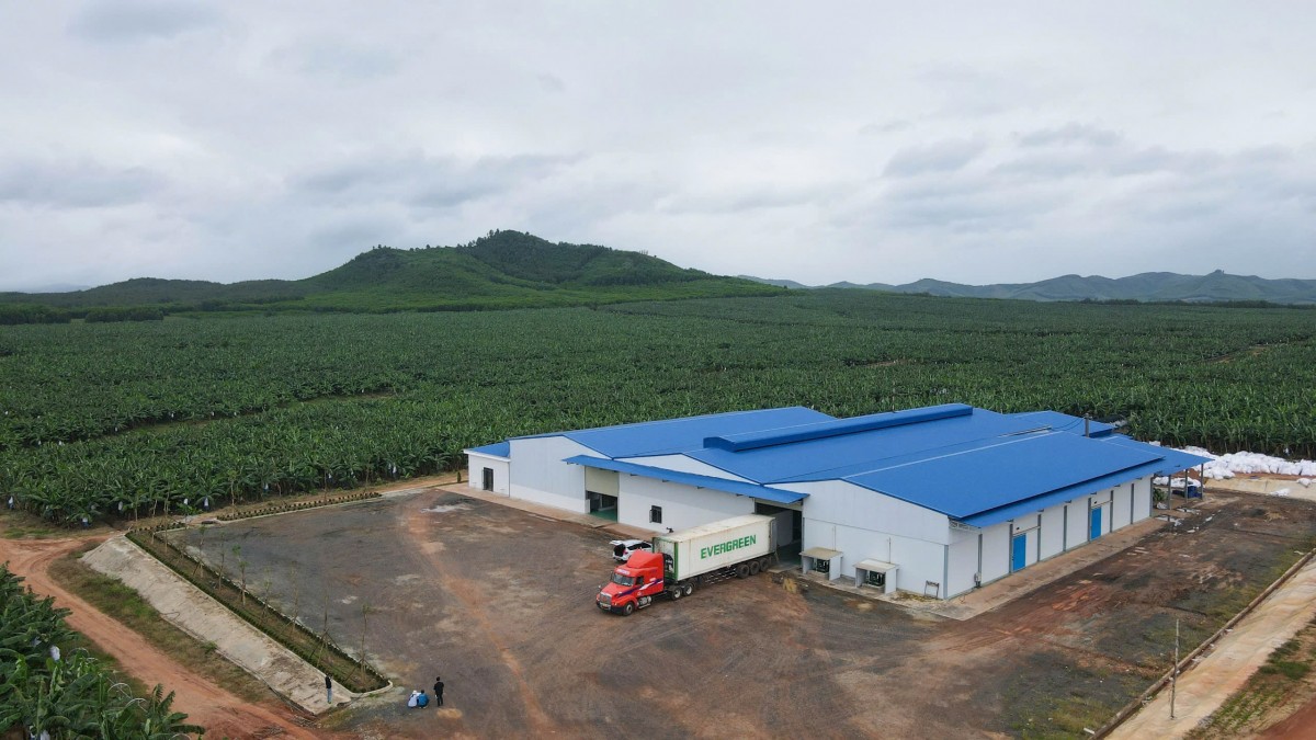 KD Green Farm đặt “nền móng” vững chắc cho nông nghiệp công nghệ cao trên đại ngàn Tây Nguyên