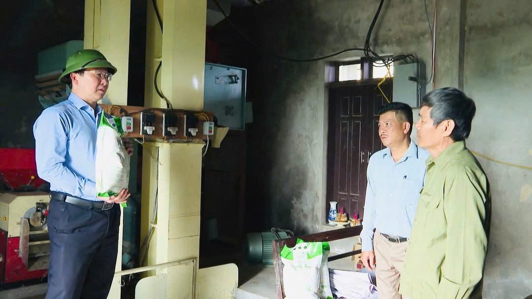 Gian nan tìm lối thương hiệu gạo sạch Vĩnh Tuy