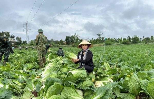 "Bản giao hưởng" giữa tri thức và khát vọng xanh trên miền đất núi lửa