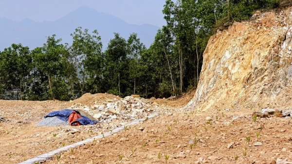 Đà Nẵng: Ngang nhiên san gạt đất rừng phòng hộ tại khu vực Nghĩa trang thành phố