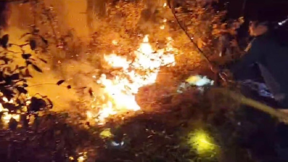 Nắng nóng gay gắt, liên tiếp xảy ra các vụ cháy rừng ở Nghệ An