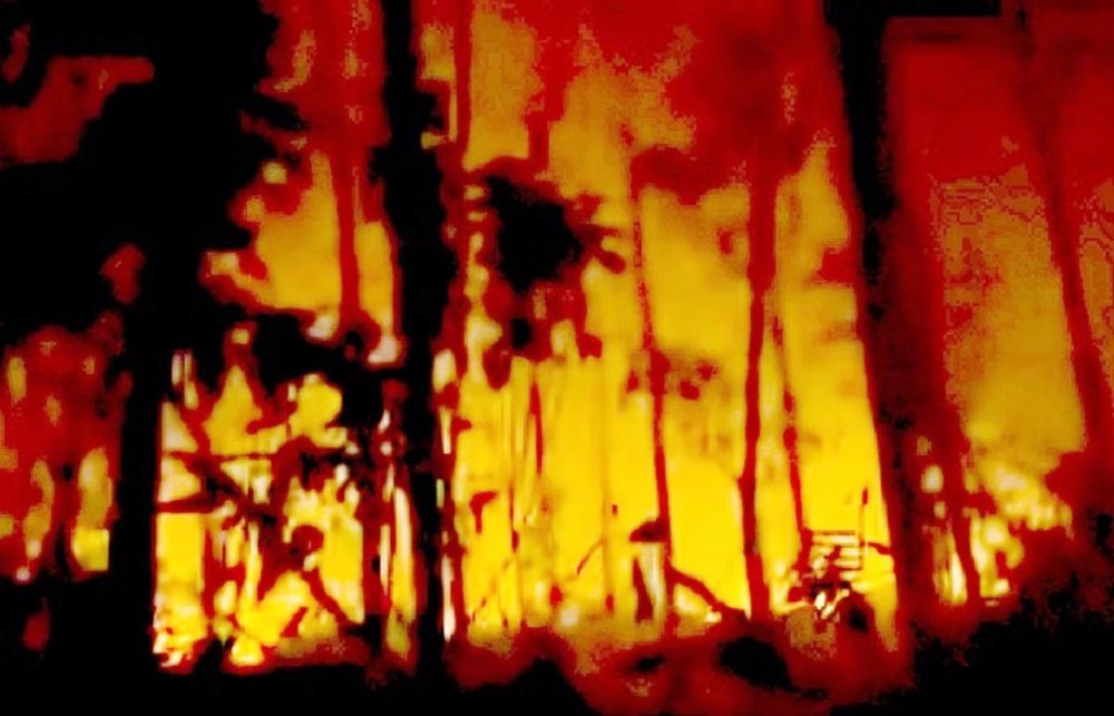 Nắng nóng gay gắt, liên tiếp xảy ra các vụ cháy rừng ở Nghệ An