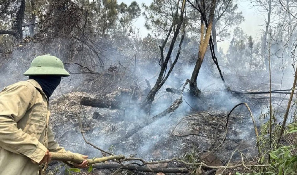 Nắng nóng gay gắt, liên tiếp xảy ra các vụ cháy rừng ở Nghệ An