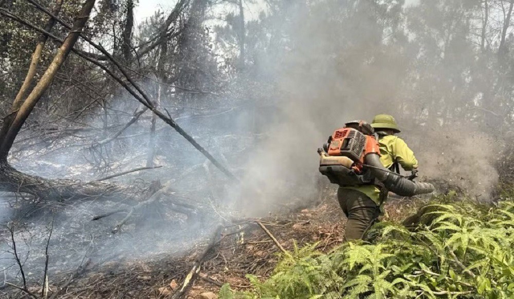 Nắng nóng gay gắt, liên tiếp xảy ra các vụ cháy rừng ở Nghệ An