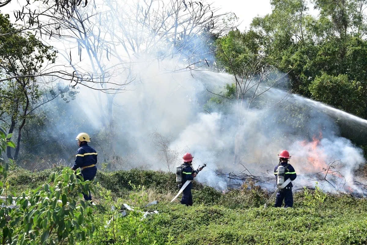 TP.HCM tăng cường phòng cháy, chữa cháy rừng mùa khô