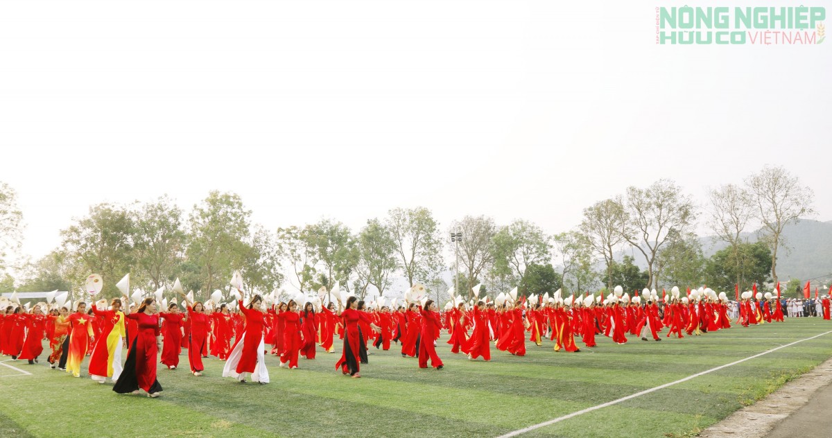 Khai mạc Đại hội Thể dục Thể thao xã Tam Đồng, lần thứ nhất năm 2026 Khai mạc Đại hội Thể dục Thể thao xã Tam Đồng, lần thứ nhất năm 2026