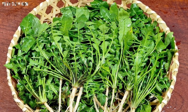 Rau tề thái: Vị thuốc quý bổ gan, sáng mắt, hạ mỡ máu