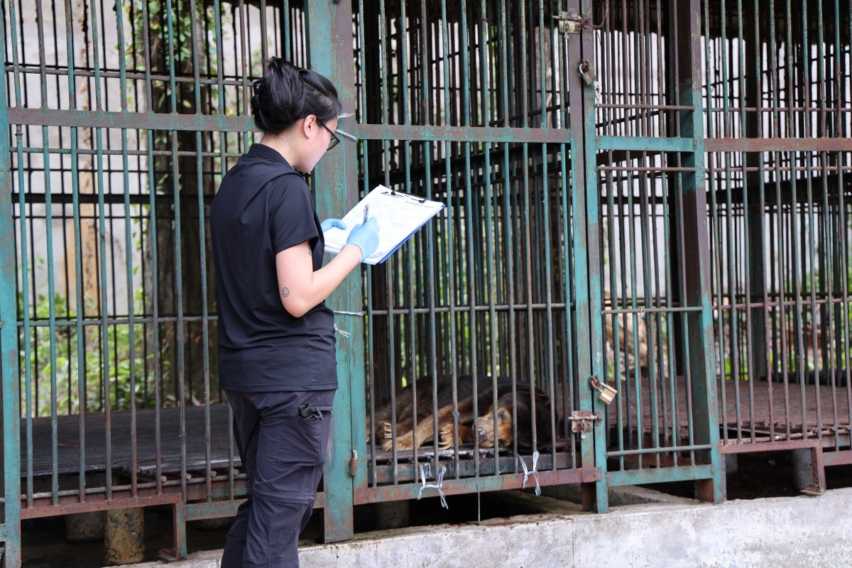 Bác sỹ Thú y ghi chép tình trạng sức khoẻ của các cá thể gấu