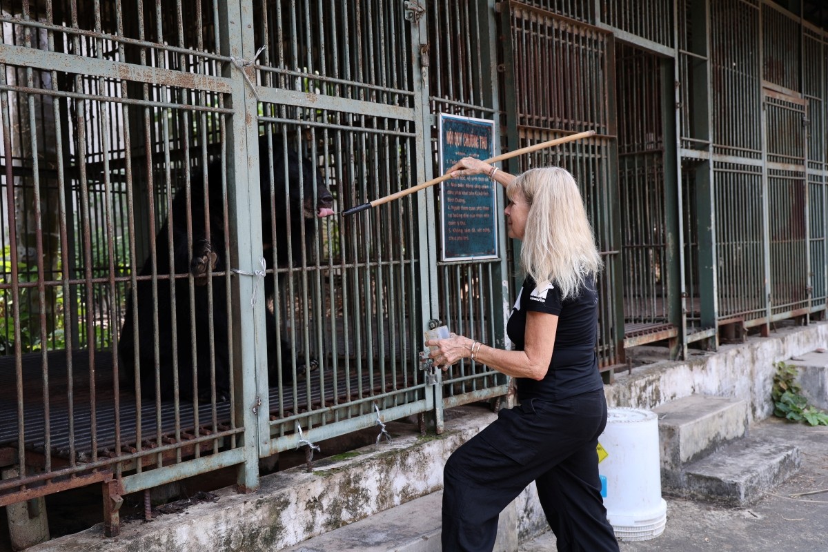 TS Jill tiếp mật ong giúp gấu bình tĩnh hơn