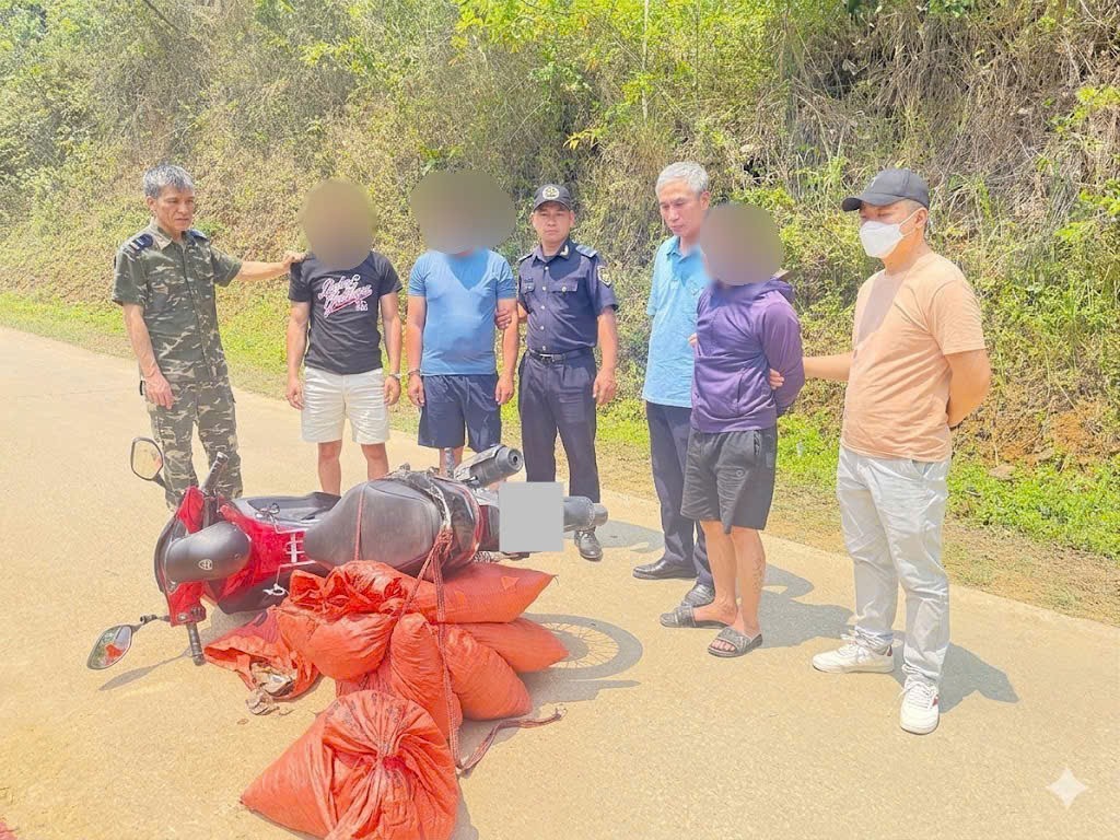 Cao Bằng: Thu giữ hơn 59 kg vảy động vật nghi là vảy tê tê