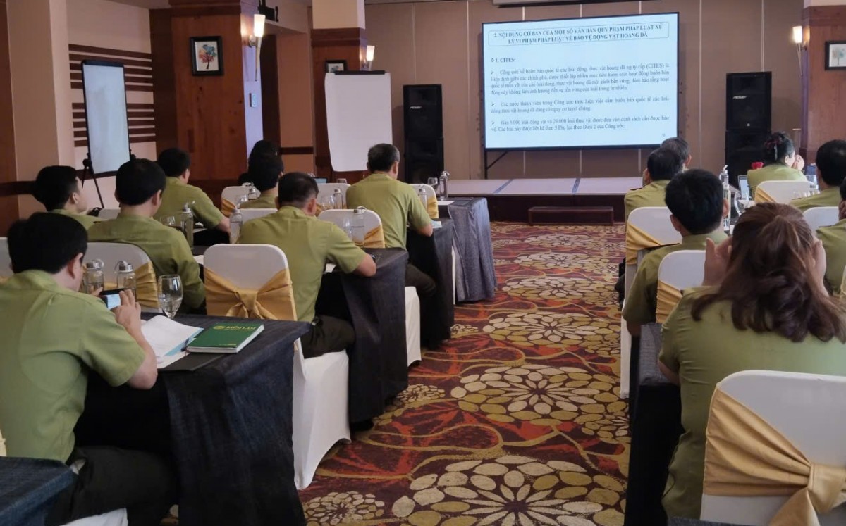 Quảng Trị: Tập huấn kỹ năng nhận dạng, cứu hộ động vật hoang dã và kỹ năng thực thi pháp luật cho lực lượng kiểm lâm