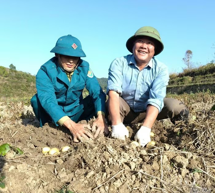 Chuyển đổi cây trồng trên đất lúa: Hướng đi thích ứng biến đổi khí hậu ở Điện Biên