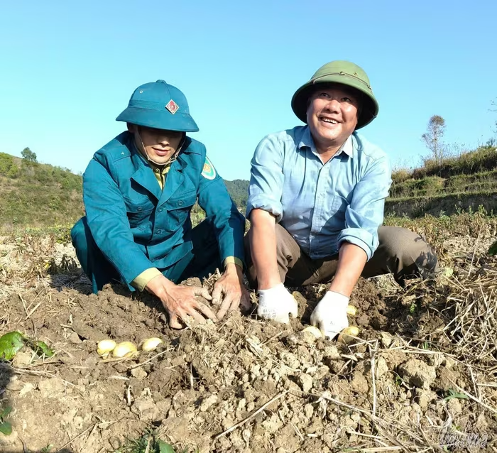 Chuyển đổi đất lúa thích ứng với biến đổi khí hậu