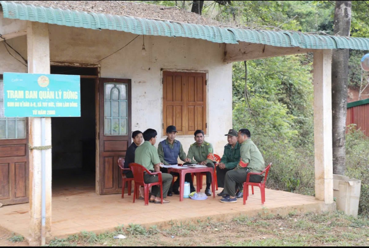 Những “người giữ rừng” nơi bon làng Tuy Đức