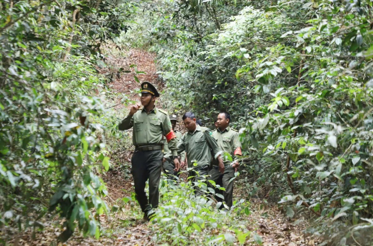 Những “người giữ rừng” nơi bon làng Tuy Đức