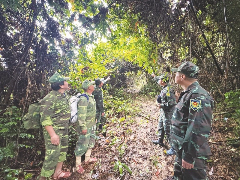 Vườn quốc gia Phong Nha - Kẻ Bàng triển khai công tác phòng cháy, chữa cháy rừng