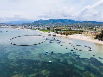 Quảng Ninh sắp có mô hình nuôi biển công nghiệp, ứng dụng công nghệ cao