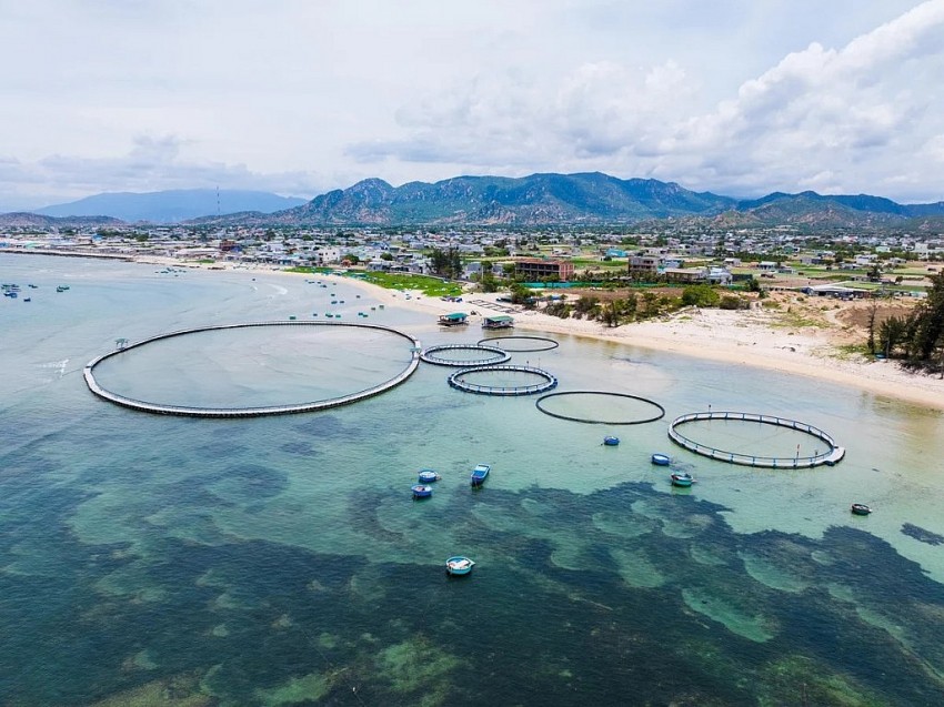 Mô hình nuôi biển của Công ty CP Mực nhảy Biển Đông tại vùng biển Khánh Hòa. Ảnh: Báo Quảng Ninh