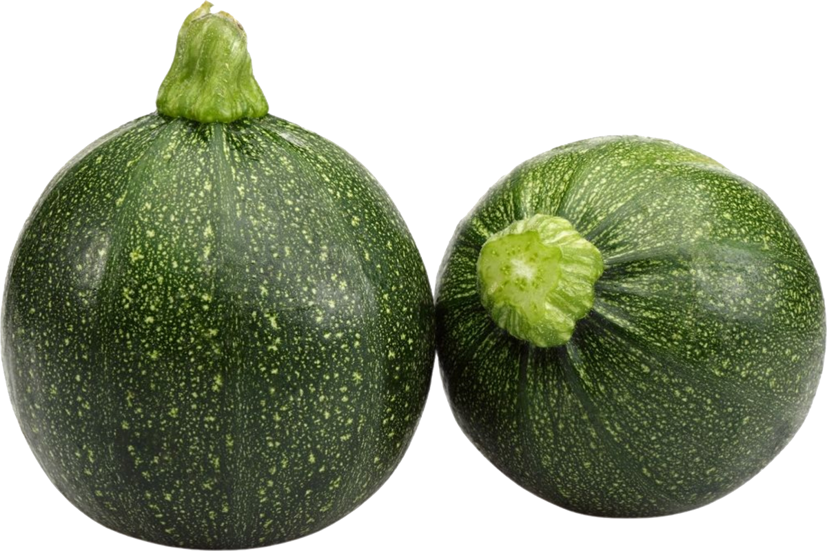 Đừng chỉ ăn lá, quả cây này 'quý như nhân sâm người nghèo', mâm cơm nhà nào cũng có ít ai hay - Ảnh 1.