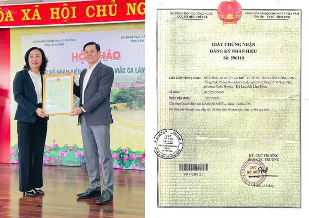 Thúc đẩy liên kết “3 nhà”, xây dựng chuỗi giá trị và ra mắt nhãn hiệu “Mắc ca Lâm Đồng”
