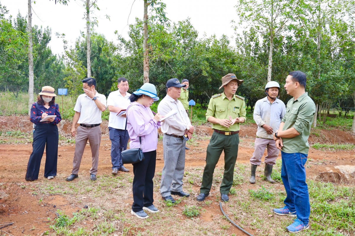 Đoàn giám sát HĐND tỉnh Lâm Đồng làm việc về công tác quản lý, bảo vệ rừng tại xã Tuy Đức