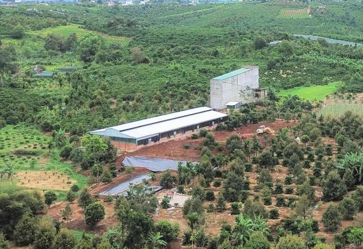 Lâm Đồng: Tăng cường kiểm tra điều kiện chăn nuôi trang trại quy mô vừa và nhỏ