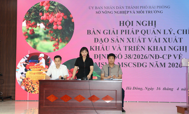 Hải Phòng: Tăng cường hướng dẫn chỉ đạo sản xuất vải phục vụ xuất khẩu năm 2026