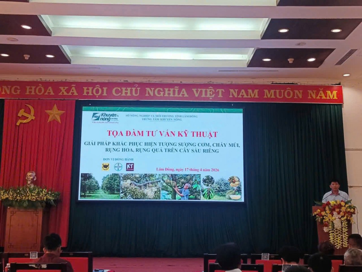 Tọa đàm tư vấn kỹ thuật sầu riêng: Cơ hội nâng cao hiệu quả sản xuất cho nông dân