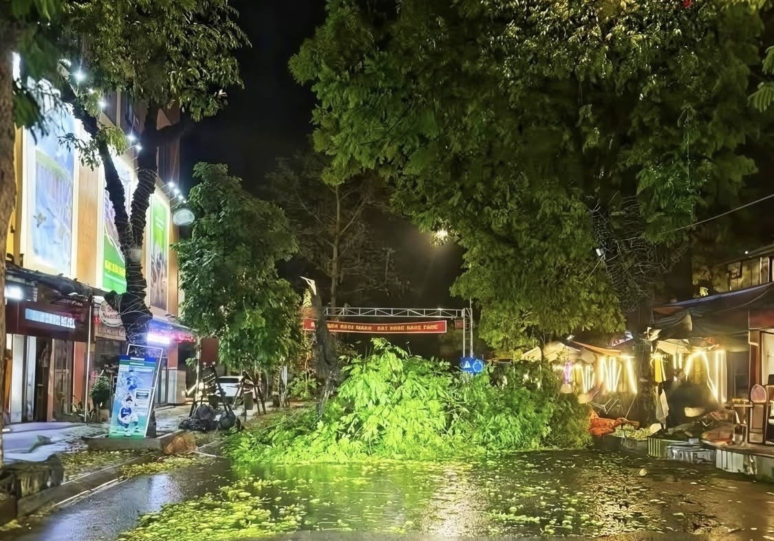 Cao Bằng: Mưa dông kèm lốc và mưa đá gây thiệt hại trên 6,9 tỷ đồng