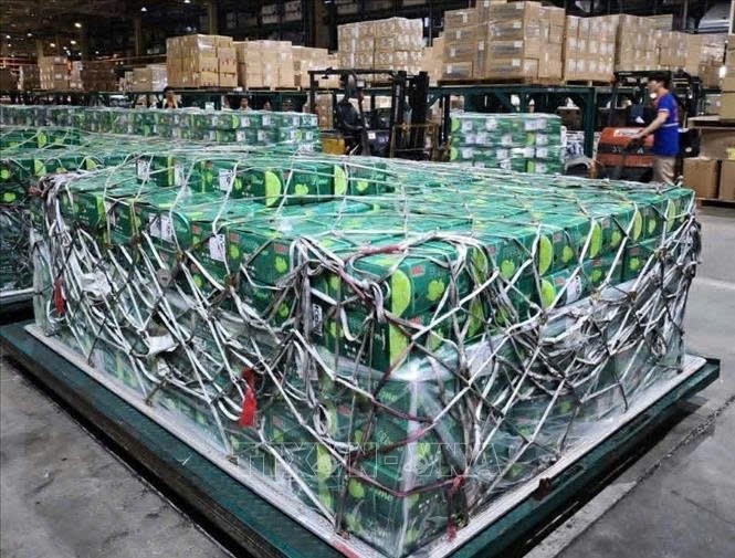 Tập đoàn Lulu thuê máy bay đưa gần 100 tấn rau quả Việt sang UAE