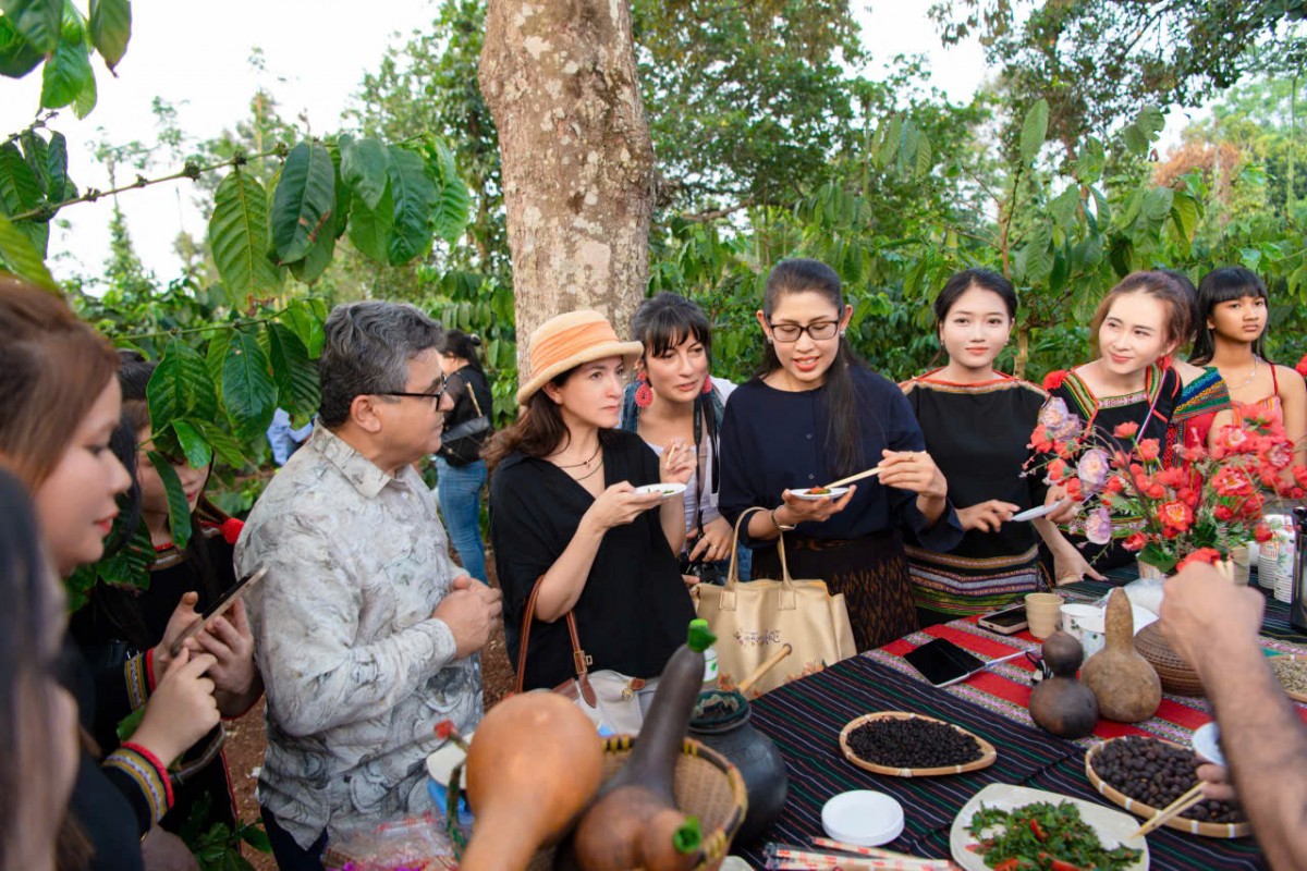 Diễn đàn Di sản Cà phê Thế giới 2026: Kết nối tri thức, lan tỏa giá trị “di sản sống”