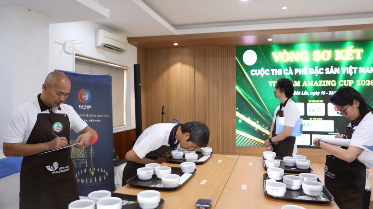 Khai mạc vòng sơ loại Cuộc thi Cà phê đặc sản Việt Nam 2026