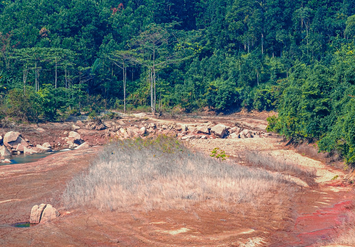 Quế Trà Leng: Từ sản vật đại ngàn đến không gian xúc tiến thương mại