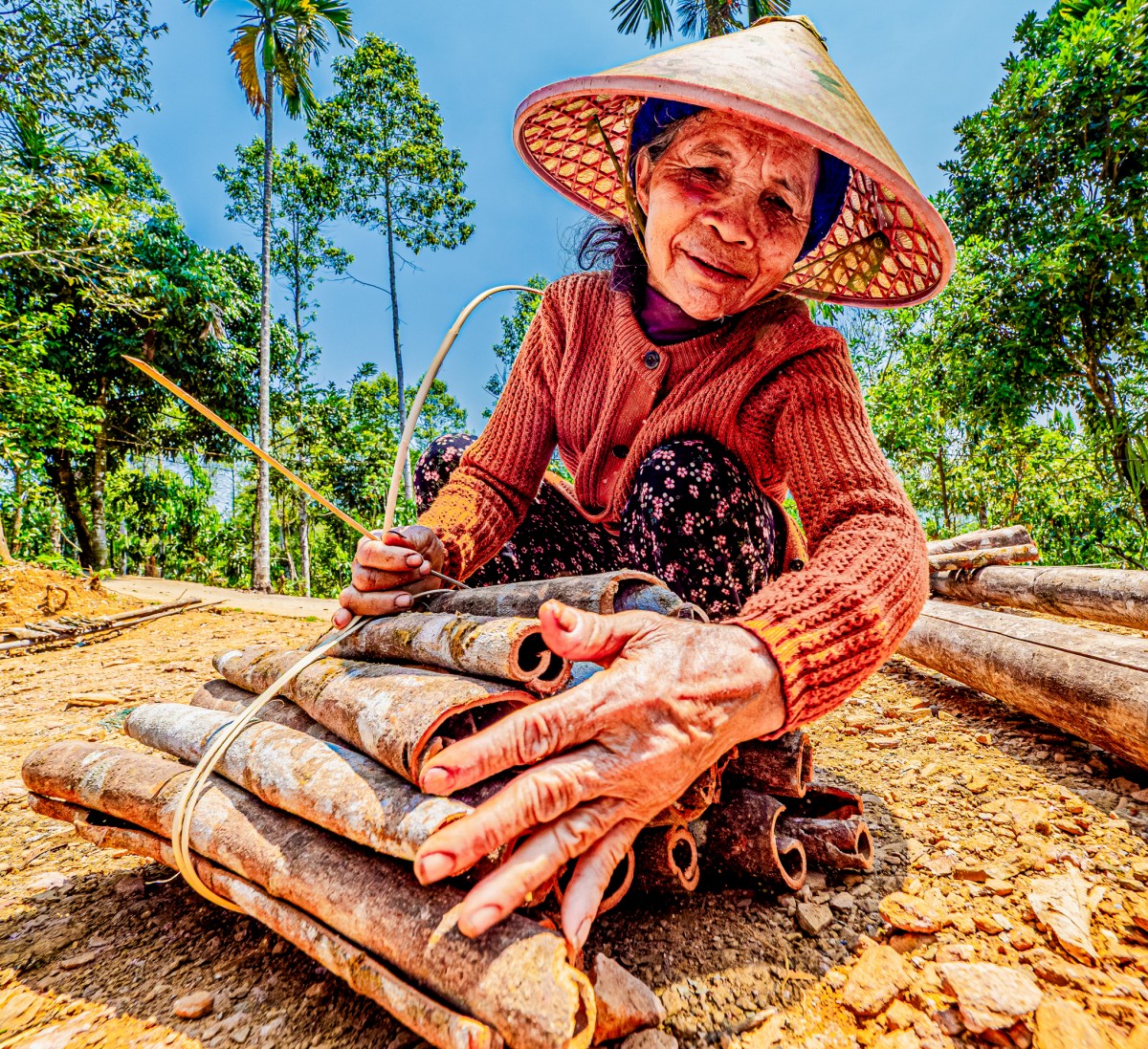 Quế Trà Leng: Từ sản vật đại ngàn đến không gian xúc tiến thương mại