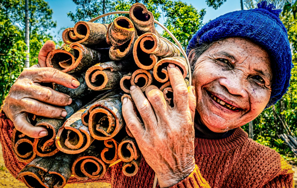 Quế Trà Leng: Từ sản vật đại ngàn đến không gian xúc tiến thương mại