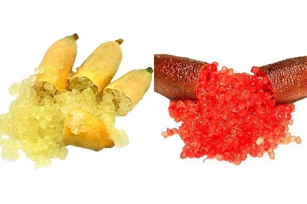 Chanh ngón tay: "Trứng cá muối" trong thế giới thực vật