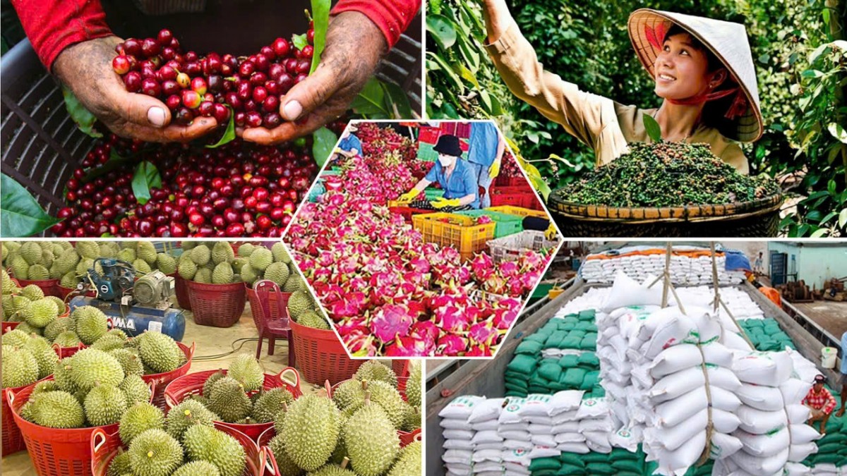 Lâm Đồng tìm cơ hội mở rộng hợp tác thương mại với Man-đi-vơ