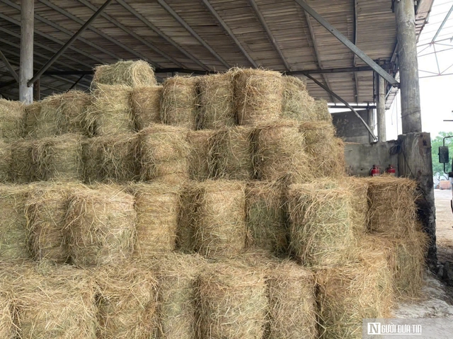 Cách giúp nông dân không phải vất vả xử lý rơm rạ mà vẫn có thu nhập