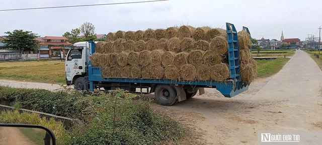 Cách giúp nông dân không phải vất vả xử lý rơm rạ mà vẫn có thu nhập