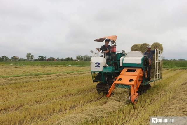 Cách giúp nông dân không phải vất vả xử lý rơm rạ mà vẫn có thu nhập