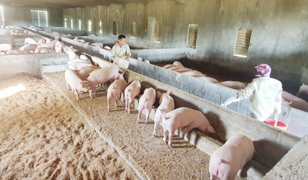 Quảng Ninh: Phát triển các sản phẩm nông nghiệp chủ lực đến năm 2030