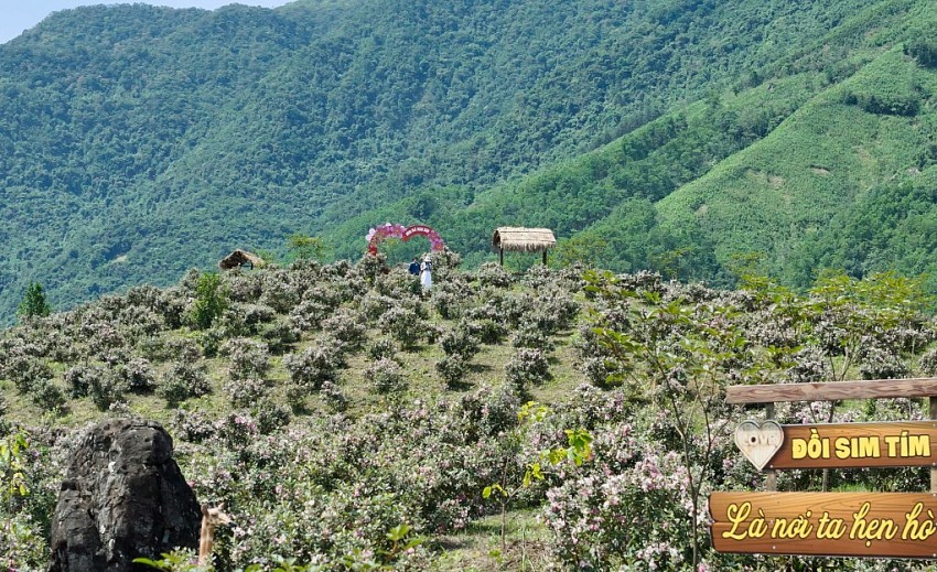 Không gian diễn ra lễ hội là rừng sim đang vào mùa trổ hoa rực rỡ.