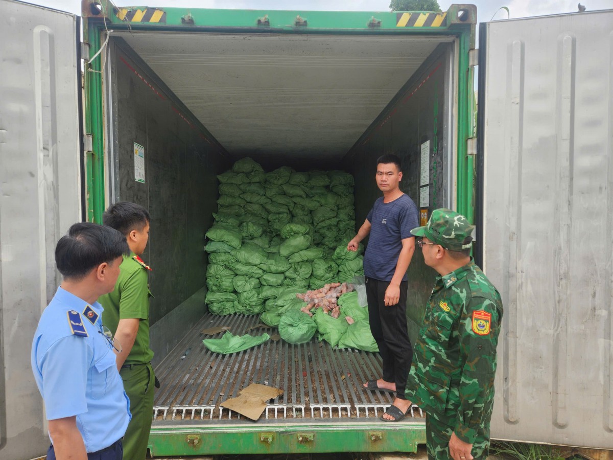 Quảng Ninh: Thu giữ hơn 25 tấn thực phẩm đông lạnh vi phạm an toàn thực phẩm