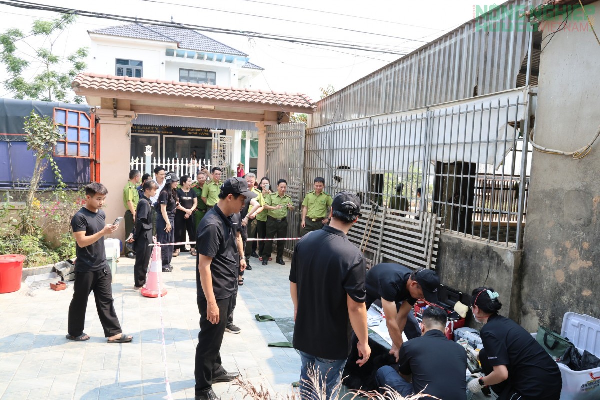 Người dân Nghệ An tự nguyện chuyển giao 2 cá thể gấu nuôi nhốt quý hiếm